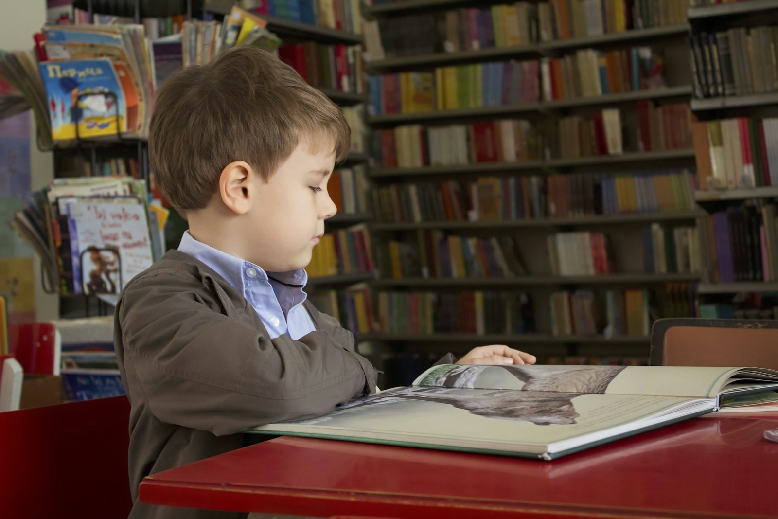 Read more about the article Ile czasu zajmuje nauka języka obcego do poziomu komunikatywnego