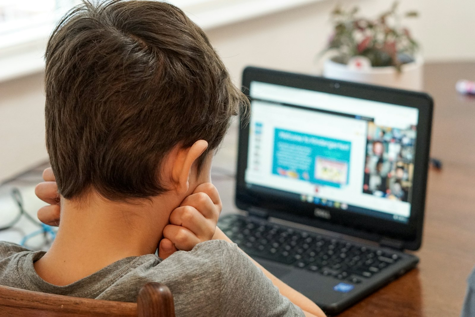 Nauka języka online przez wideokonferencję